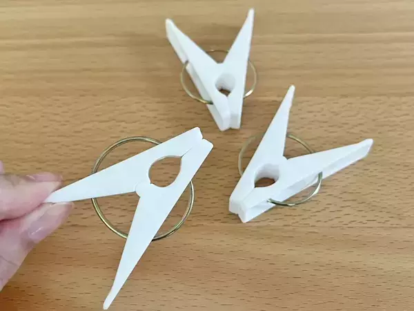 洗濯バサミ、バッグに忍ばせて！　旅行に役立つ『プロの技』がこちら【3選】