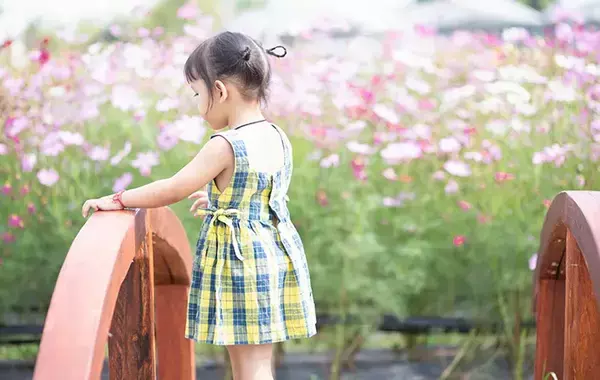デザートを待つ4歳児の言葉に「どこで習ったの？」日本人の感性から生まれた言葉に『世界の見方が変わる』