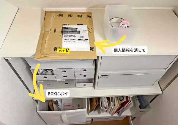 100均クリアファイル、“書類を入れて終わり”にしてない？　収納のプロが活用すると