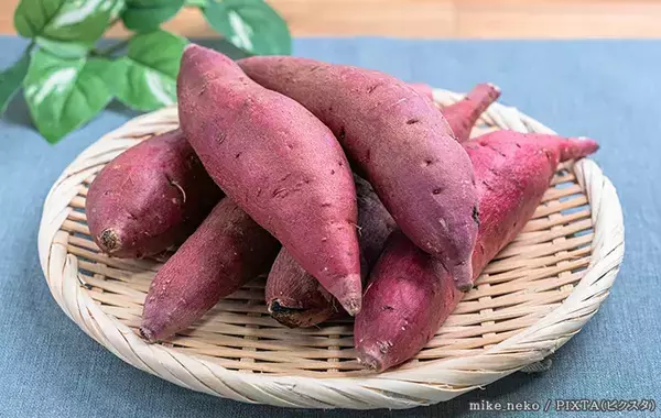 旬を迎えるサツマイモ、キケンなのは芽よりも？『食べるのNGライン』をプロに聞いた
