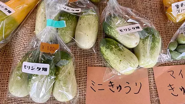 『細いキュウリ』と『太いキュウリ』、違いがあるって知ってた？　農家の知恵に「試してみたい」