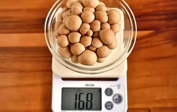 だし不要の『旨味たっぷり炊き込みご飯』　具材2つを入れて炊くだけで「ふっくらプリプリ」【管理栄養士のレシピ】