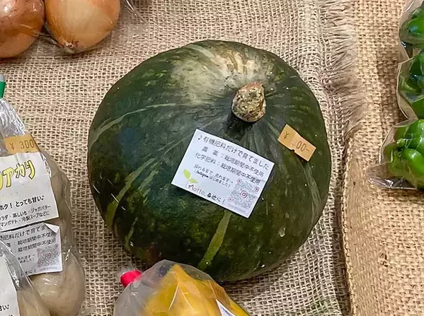 スーパーで買った『カボチャ』、冷蔵庫に入れる？入れない？　農家の回答は