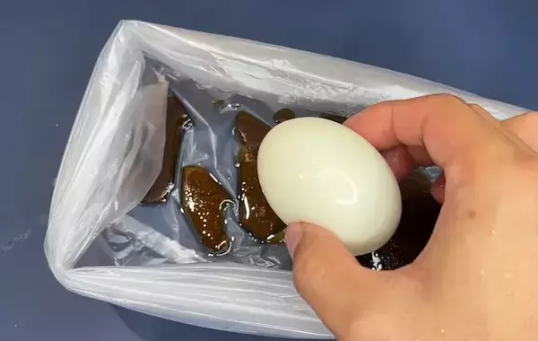 ゆで卵を『2袋』で漬けるだけ！　味玉レシピに「これは楽」「余った時の消費にもいい」