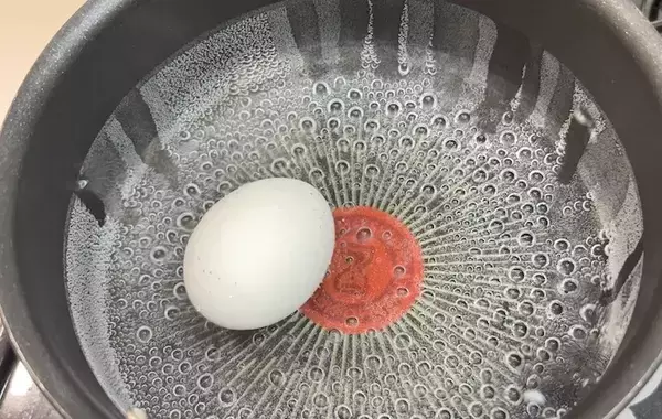 ゆで卵を『2袋』で漬けるだけ！　味玉レシピに「これは楽」「余った時の消費にもいい」