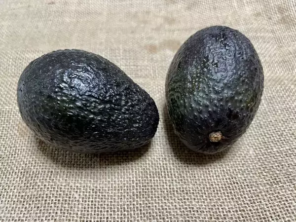 アボカドに『刻みミョウガ』をドサッ！　食べる直前に仕上げた一皿がこちら【副菜4選】