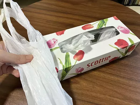 『ティッシュの箱』1個で整理がラクに！　袋を「入れるだけ」の裏ワザ