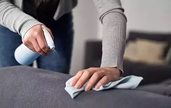 ソファのダニは掃除機だけじゃ取れない　メーカーに聞く『正しい手入れ法』