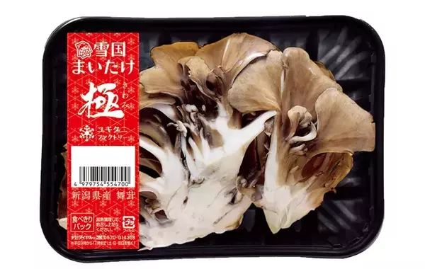 冷凍前のキノコ、水洗いすべき？　プロが教える保存の正解