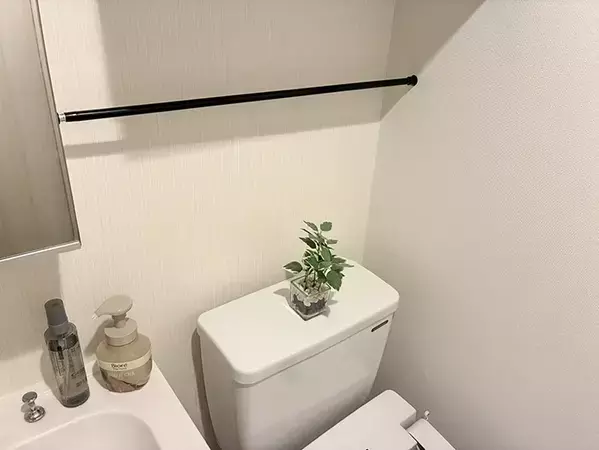 トイレの『上』につっぱり棒を渡すだけ！　収納の悩みが消える『30秒ワザ』
