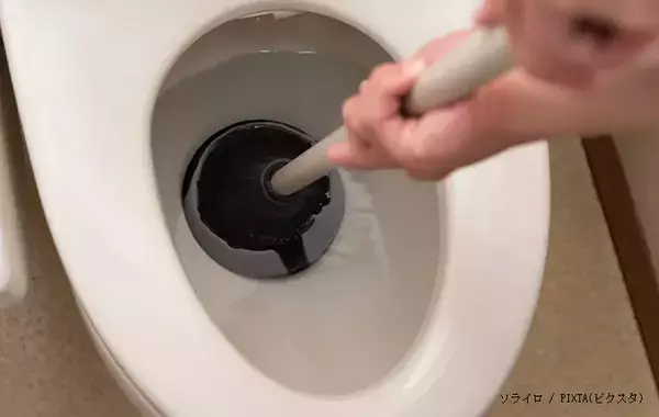 トイレの便器にたまっている『水たまり』は何？　意外と知らない「減った時の対処法」