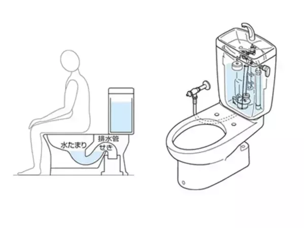 トイレの便器にたまっている『水たまり』は何？　意外と知らない「減った時の対処法」