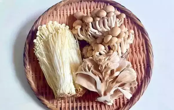【5分で作り置き】きのこ3種をレンチンするだけ　食べた夫が「うまみがすごい！」