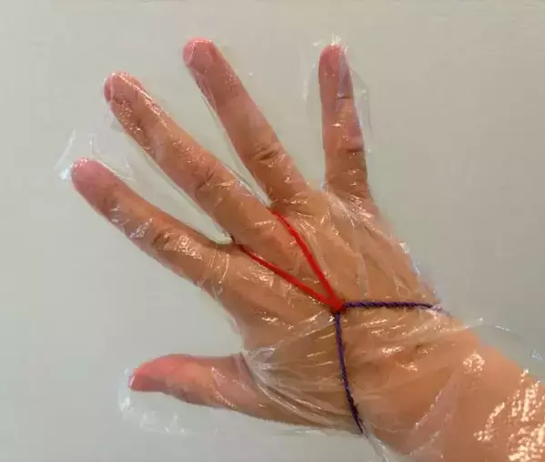 輪ゴム2本を交差させて引っ張ると…？　トイレ掃除で試したら「もう手放せない！」