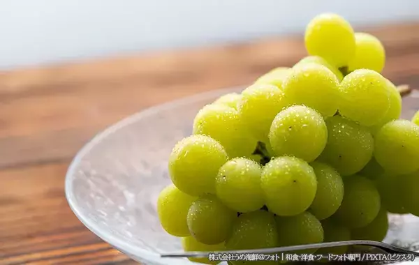 ブドウの鮮度をキープする保存の知恵　JA全農が教える正しい長持ち術