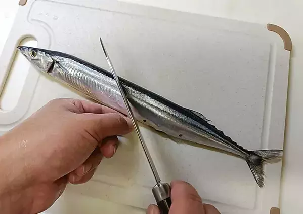 サンマをフライパンで焼く時、油は引いた方がいい？　ニオイを押さえる「焼き方のコツ」