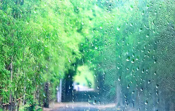 「ただの長雨」か「趣ある秋霖」か　雨の名前を知ると景色が変わる日本語の豊かさ