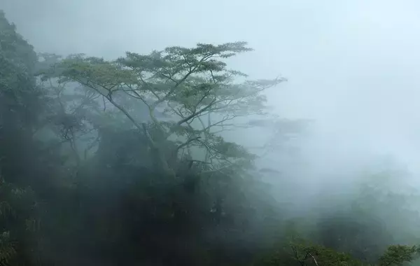 「ただの長雨」か「趣ある秋霖」か　雨の名前を知ると景色が変わる日本語の豊かさ