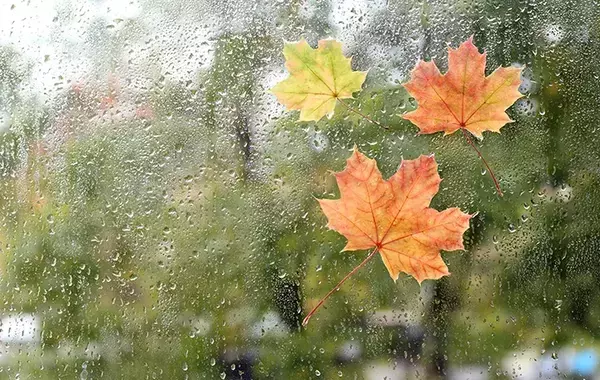 「ただの長雨」か「趣ある秋霖」か　雨の名前を知ると景色が変わる日本語の豊かさ