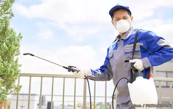 隣の家にハチの巣が…　刺されてしまったら誰の責任？【弁護士に聞いた】