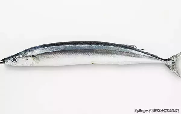 サンマを食べていたら『赤い糸』が出てきた！　正体を聞いてみると