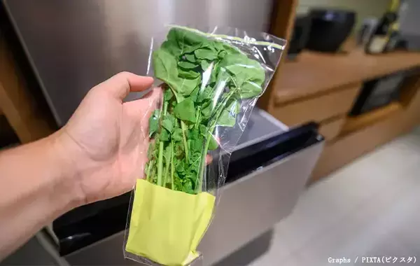 野菜室の仕切りは『紙袋』がおすすめ　すっきり片づけるためのテクニックは