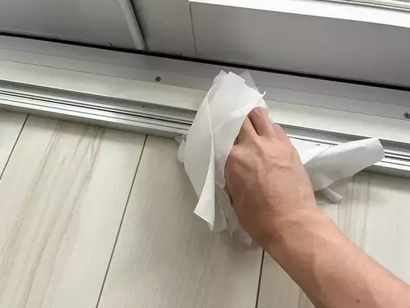 洗濯物干し場のカメムシ、ティッシュでつかまないで！　金鳥が教える撃退法の『正解』【3選】