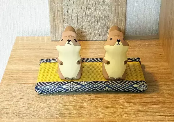 100均の『ミニ畳』をトイレに置くとガラリと変わった　思わぬ使い道に「まるで旅館みたい」【3選】