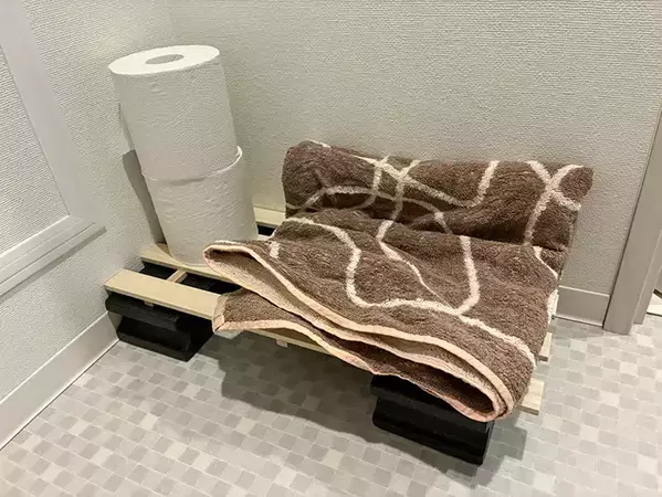 100均『ミニブロック』をトイレに置くと快適！　利便性が一気に変わる『10秒収納術』