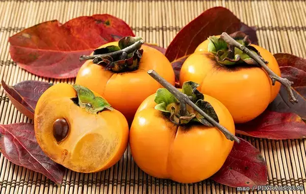 柿は野菜室へ入れる前に…？　シャキシャキ感を保つプロの保存術