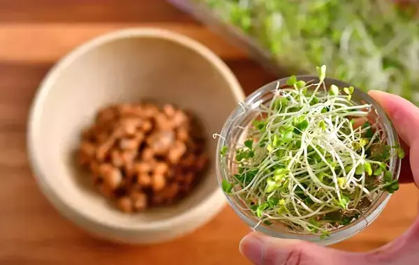 納豆に『大さじ1杯』入れてみて！　旨味と栄養がアップして「ご飯がすすむ」【管理栄養士のレシピ3選】