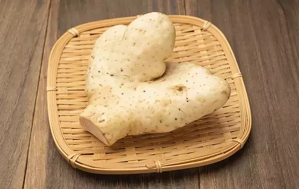 長芋と大和芋、どっちを選ぶ？　プロが教える「とろろの正解」とは