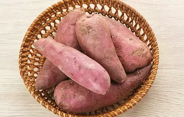 新聞紙で包んだサツマイモ、冷蔵庫とダンボールどっちで保存？　正しい方法でおいしく長持ち