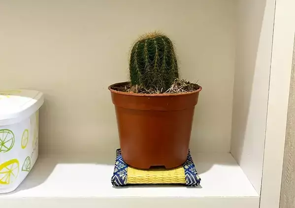 100均の『ミニ畳』でトイレが上品な雰囲気に！　和を楽しめる活用法に「ガラリと変わった」【4選】