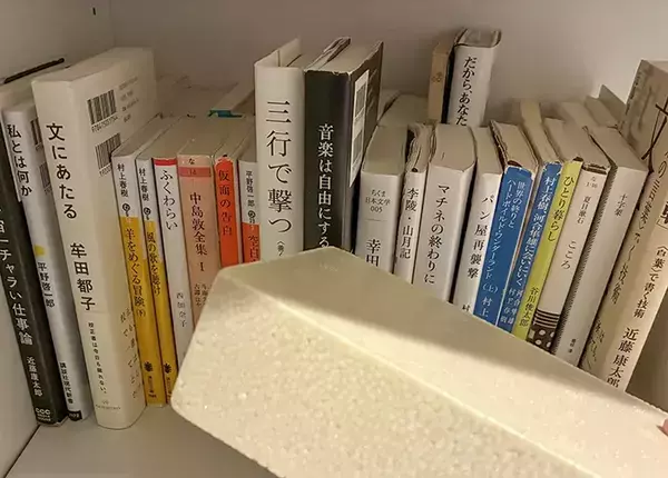 100均『発泡レンガ』を本棚に置くだけ！　取り出しの悩みが解決する収納アイディア