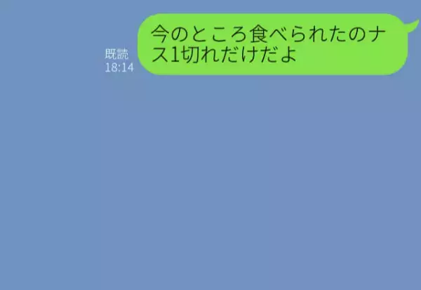 旦那不在の義実家BBQ…嫁『ナス1切れしか食べてない』！？義妹を溺愛する義母による【イビリ】に耐え切れない…