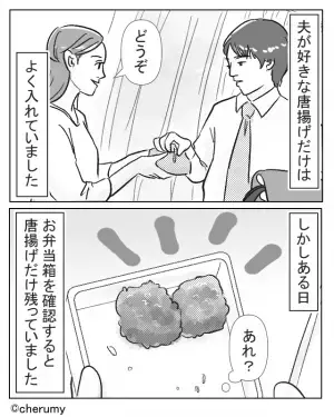 夫「唐揚げ嫌だ！」妻「子どもか！」突然弁当を残してきた夫。理由を聞くと⇒『感謝の気持ちゼロな発言』に妻は復讐を誓う…！