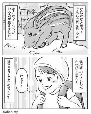 帰り道に“動物”を発見！手を伸ばすと…⇒突然クラクションが鳴った！？車に乗っていた男性からの【一言】にゾッとする…