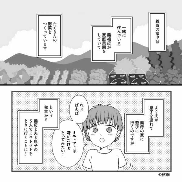 嫁『窒息したらどうするの！』２歳の息子と一緒に“ミニトマト”を収穫する義母だが…直後、義母の【軽率な行動】に背筋が凍る…！