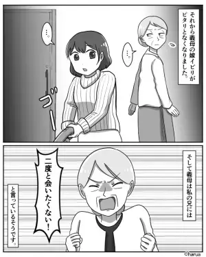 【救世主は兄だった…！？】“嫁イビリ”の現場を目撃した兄「イビリって実在するんですね！」⇒思わぬ“ファインプレー”に拍手！