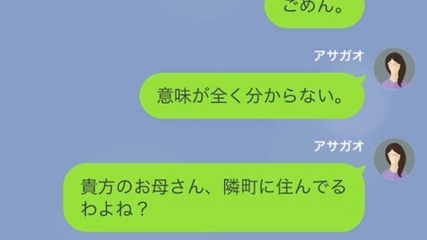 夫からのLINE「母さんが亡くなったから海外の葬式に行く！」妻「隣町に住んでるのに？」不審に思う妻だが…⇒夫に”まさかの事情”を聞かされ…妻「え？」