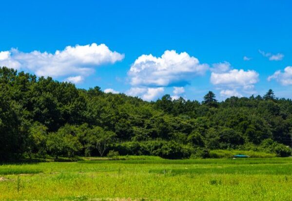 “完璧主義な義母“の元へ夏の帰省。しかし、楽しく過ごすはずが緊張の連続に変わった理由