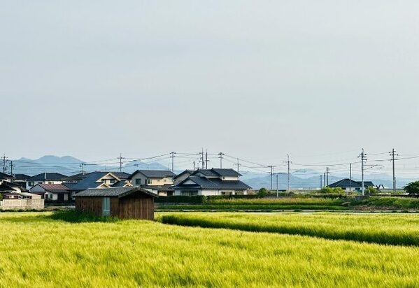 我が子より義姉の子どもたちを”ひいき”する義母！？直後、無自覚な義母の”冷徹な態度”にショックを受けた話