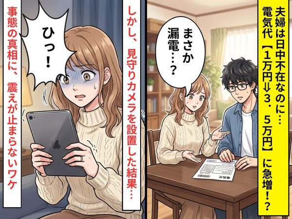 夫婦は日中不在なのに…電気代【1万⇒3.5万円】！？カメラを設置した結果⇒「ひぃ！」真相に、震えが止まらない！？