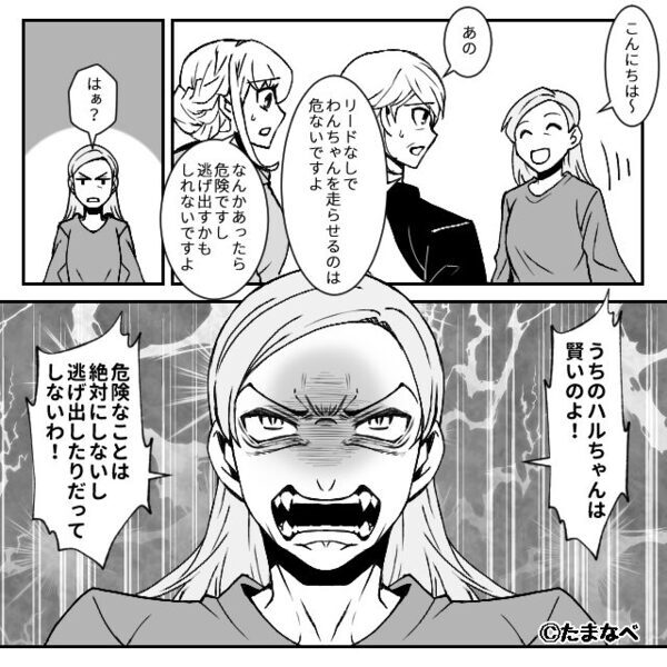 リードなしで大型犬を散歩！注意しても、飼い主「うちの子は賢いから」しかし⇒犬が走り出した直後【ドンッ！！】