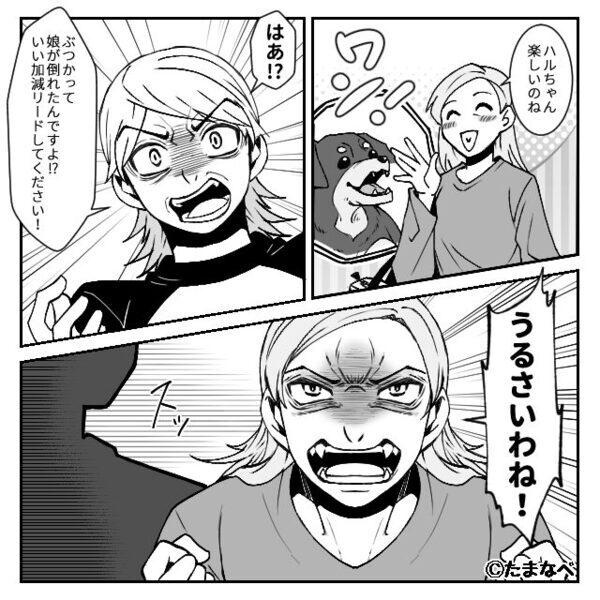 リードなしで大型犬を散歩！注意しても、飼い主「うちの子は賢いから」しかし⇒犬が走り出した直後【ドンッ！！】