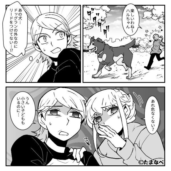 リードなしで大型犬を散歩！注意しても、飼い主「うちの子は賢いから」しかし⇒犬が走り出した直後【ドンッ！！】