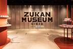 動物や昆虫たちを捕まえて楽しく学ぶ「ZUKAN MUSEUM GINZA」は、子どもも大人もハマる！