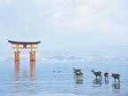 海上に浮かぶ世界遺産〈嚴島神社〉へ。【広島旅】縁結びや学問の神、必勝祈願のご利益も。