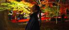 【京都】紅葉の名所〈禅林寺（永観堂）〉を参拝。夜にライトアップされた美しい景色にうっとり。